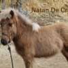Natan de Cras – Image 3