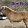 Nonni de Cras – Image 2