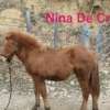 Nina de Cras – Image 2