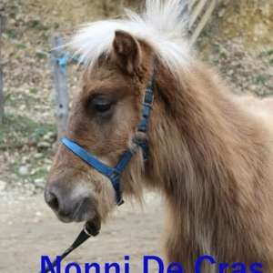 Nonni de Cras
